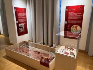 Paleolithic exhibition - Brasov