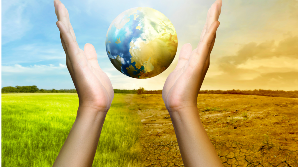 One Health and Science Diplomacy for Environmental and Global Health Challenges