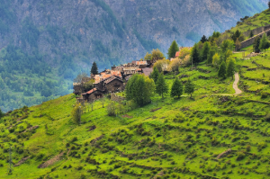 landscape