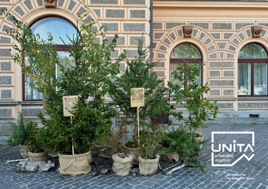 projects from researchers and staff 