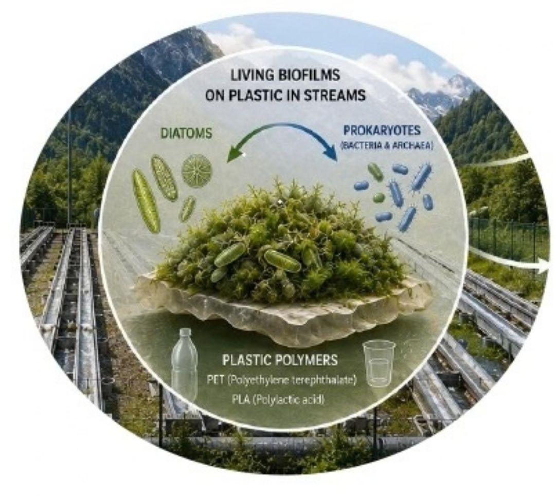 Living Biofilms and Plastic Degradation in Freshwaters picture